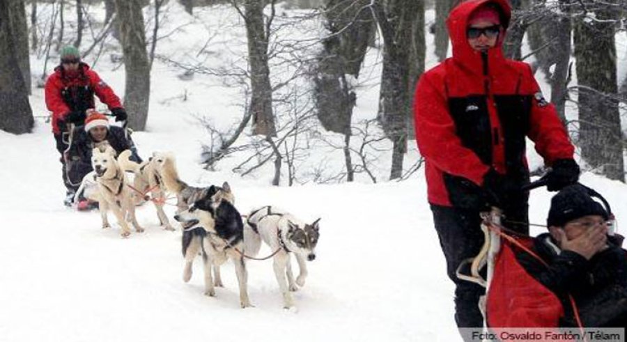 Trineo en Chapelco