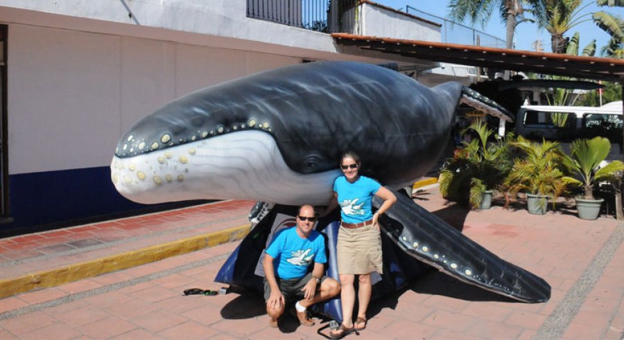 Ballenarte llega a Bahía de Banderas