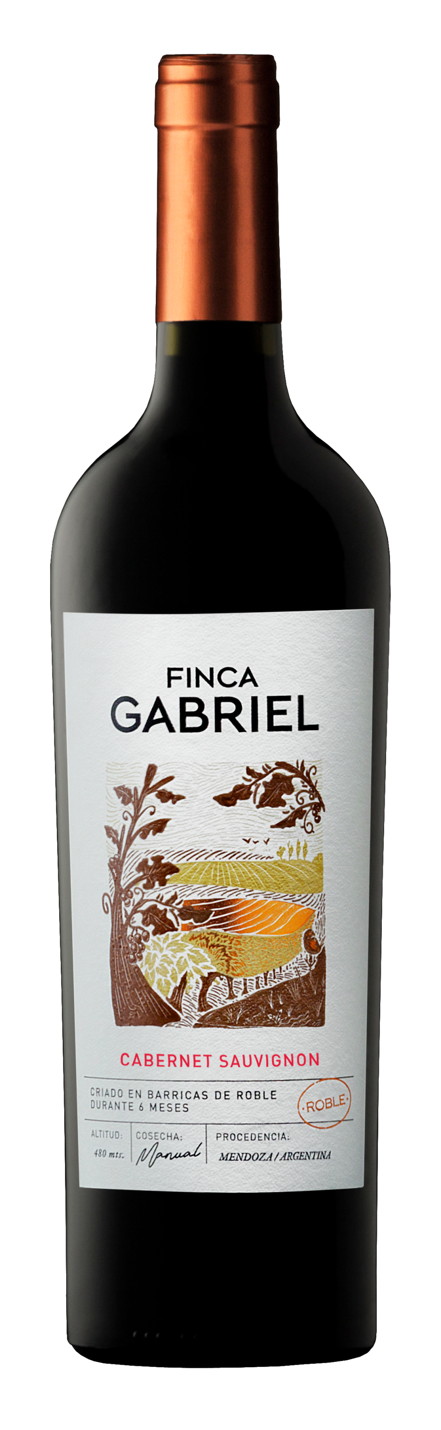 20 años de Bodega jorge Rubio