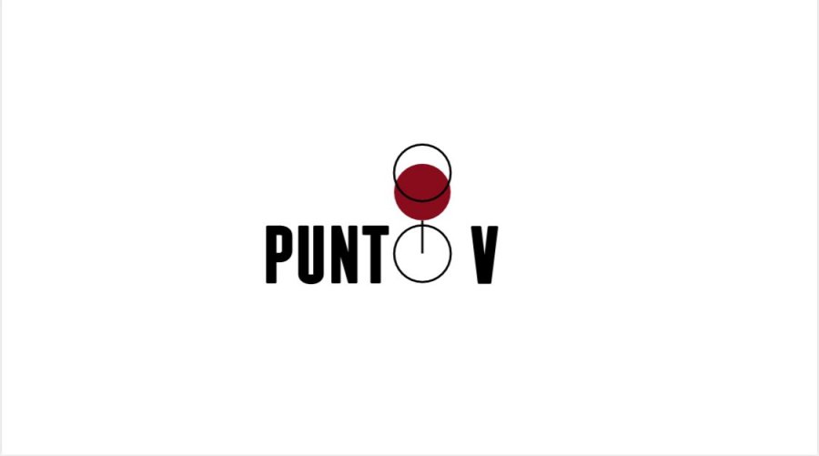 PuntoV- Distribuidora de vinos by Valeria Juaires