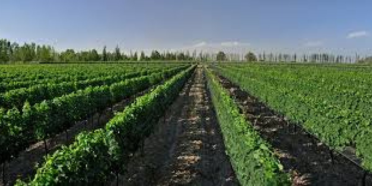 San Rafael , un destino único San Rafael , un destino único